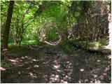 Planina (Dolnja Planina) - Hunting cottage on Planinska gora